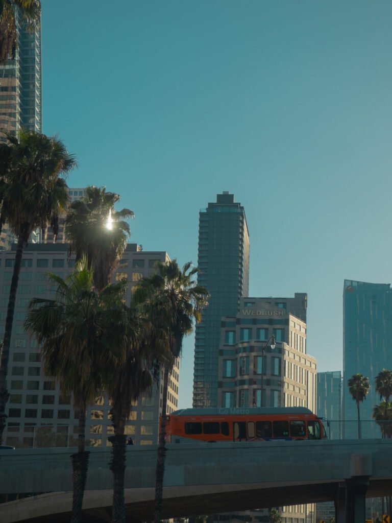 Vertudazo Print 0020