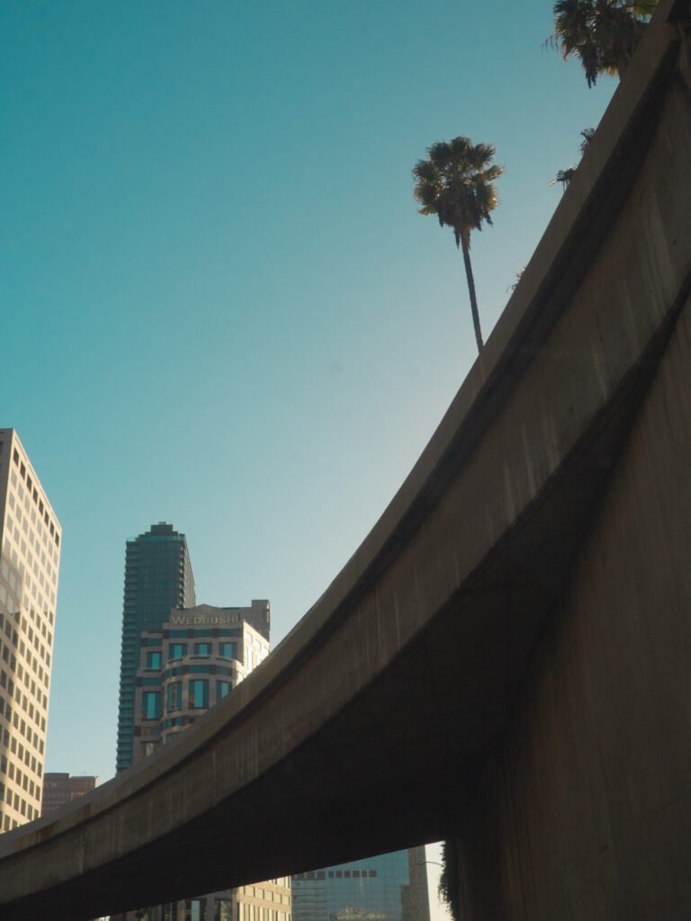 Vertudazo Print 0021