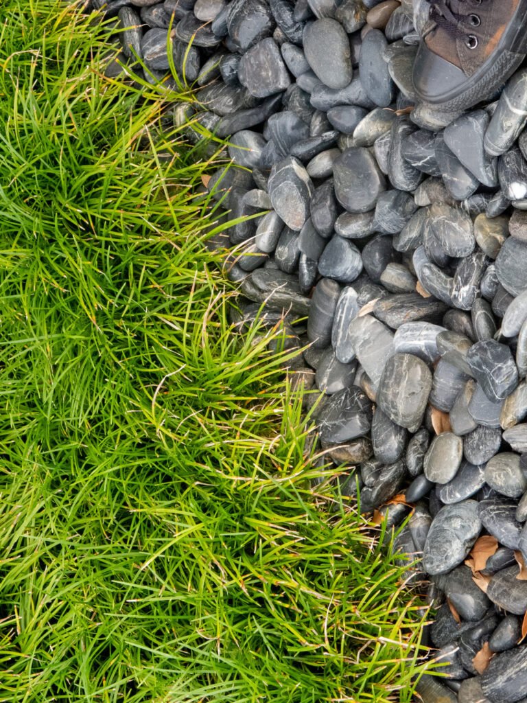 Vertudazo Print 0008