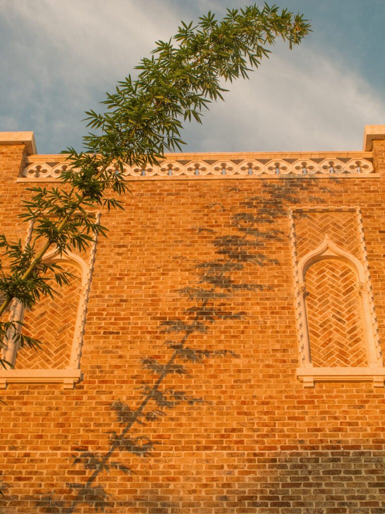 Vertudazo Print 0009