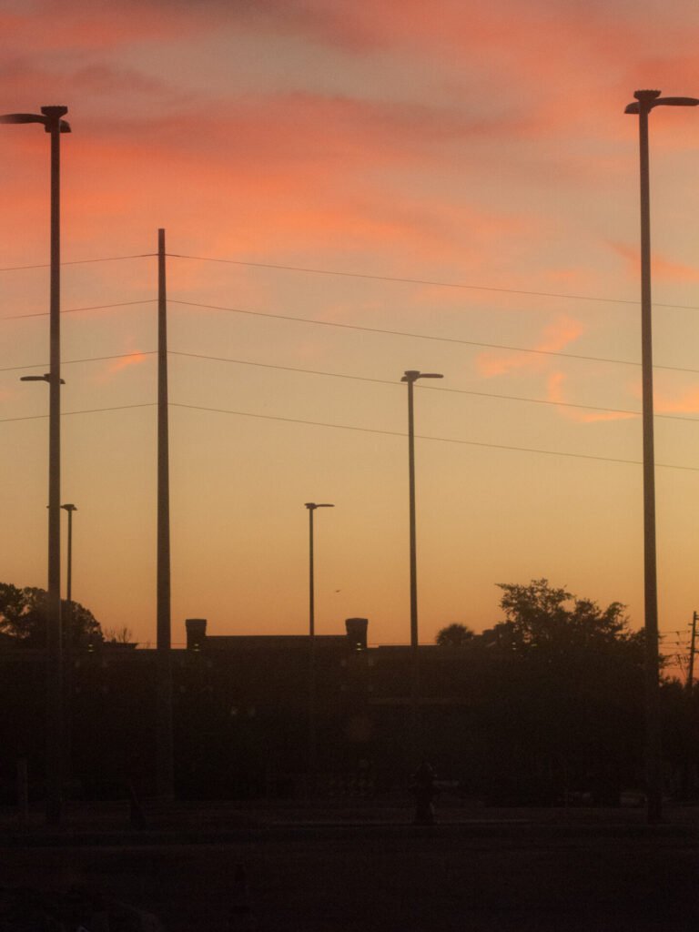 Vertudazo Print 0010