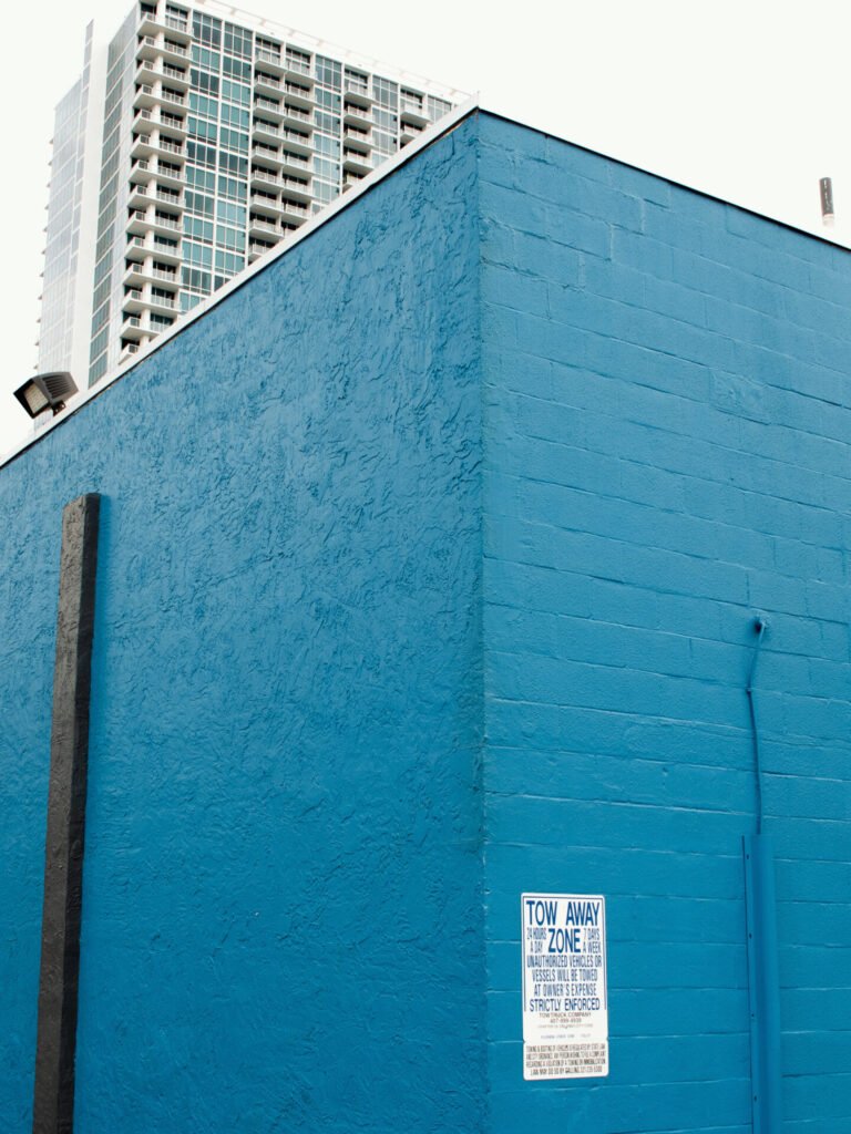 Vertudazo Print 0002