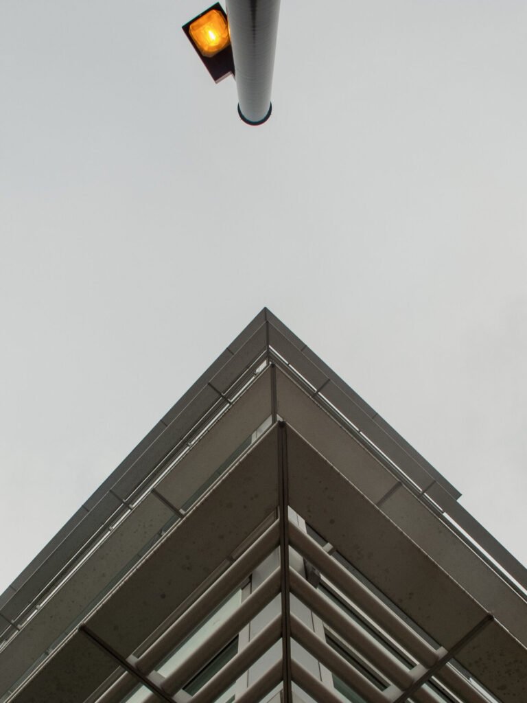 Vertudazo Print 0004