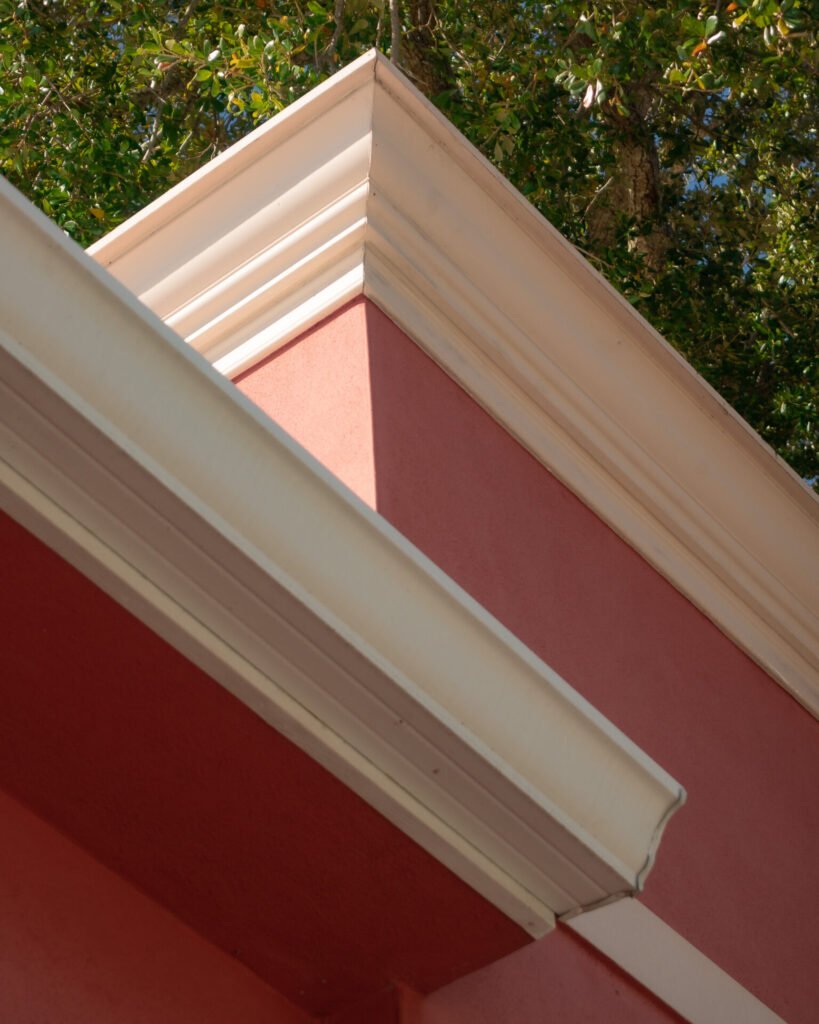 Vertudazo Print 0011