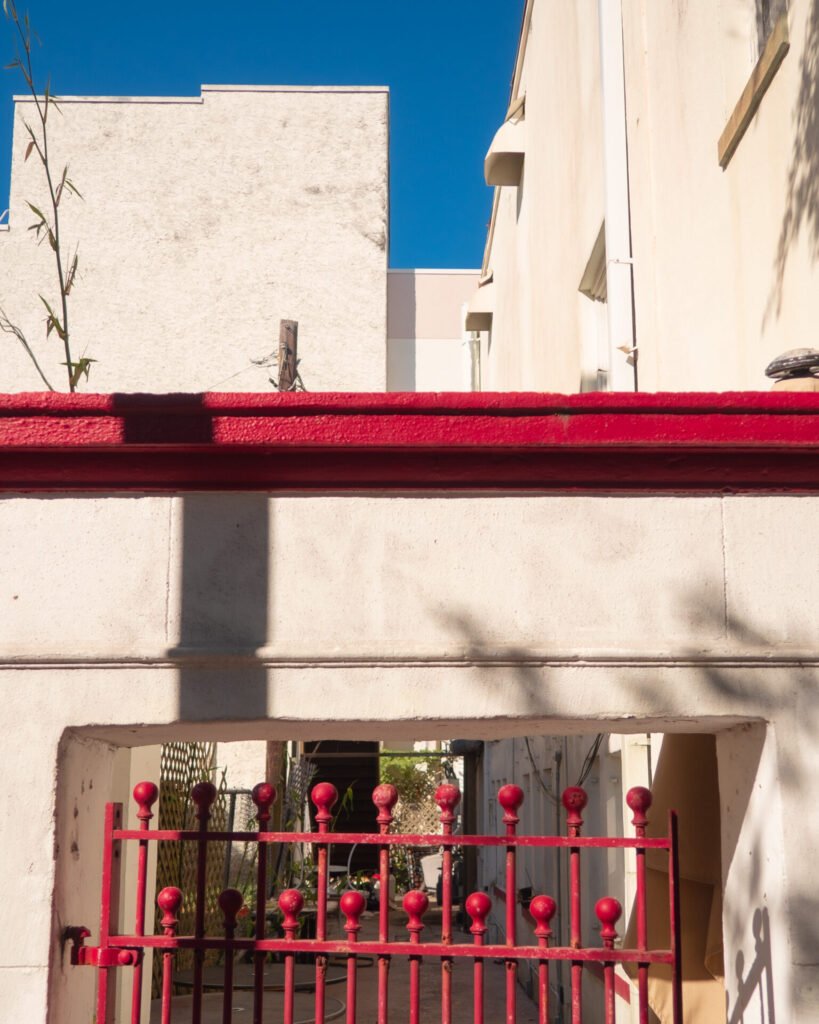 Vertudazo Print 0015