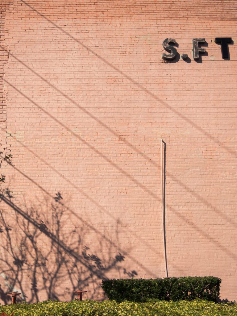 Vertudazo Print 0016